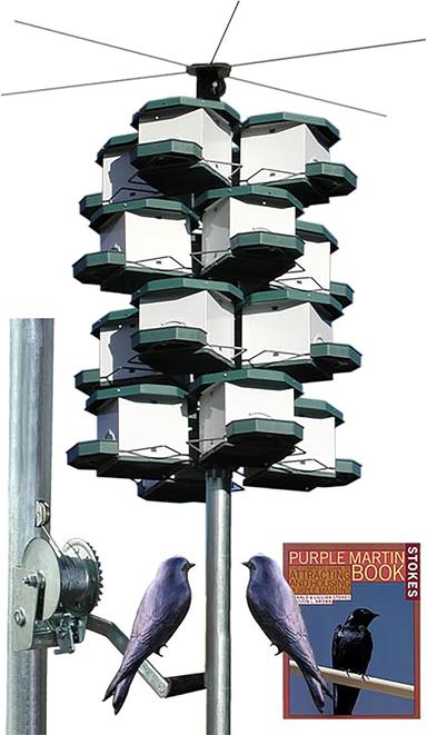 purple martin house