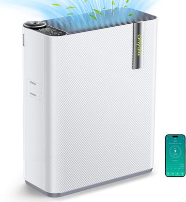 air purifier and humidifier
