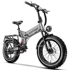 SasiKeiBike Fat Tire Electric Bike 52V 20Ah