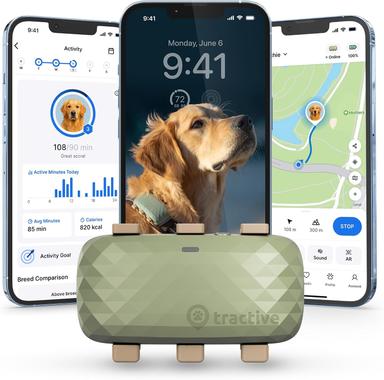 Dog GPS Tracker