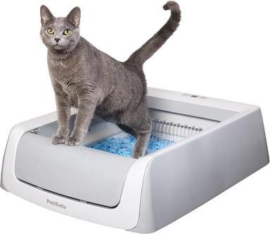 automatic cat box