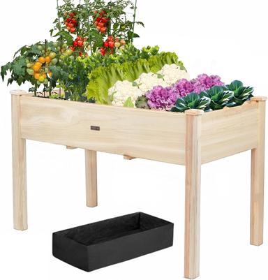 raised garden bed