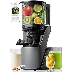 Canoly Cold Press Juicer Space Gray