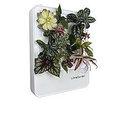 LinneGarden Hydroponic Indoor Garden System