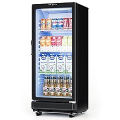 ICEVIVAL 6 Cu.Ft Commercial Display Refrigerator