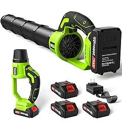 VASG Cordless Leaf Blower Kit