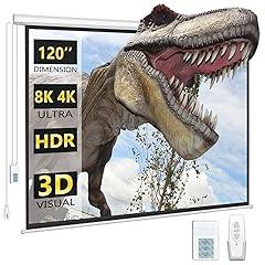 DINAH 120 inch Motorized Projector Screen