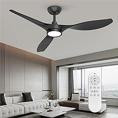 Roomratv Ceiling Fan with Lights