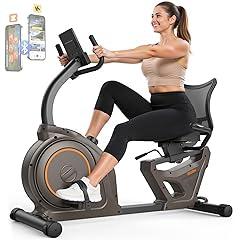 Niceday Recumbent Exercise Bike 400LBS Capacity