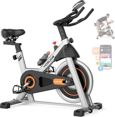 recumbent exercise bike