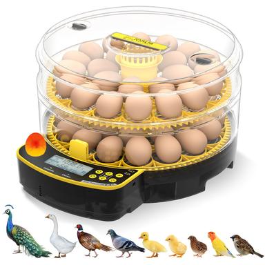 egg incubator