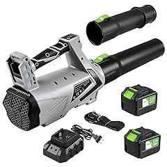 GOOSHHOME 21V Cordless Leaf Blower