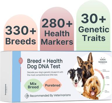 dog dna test