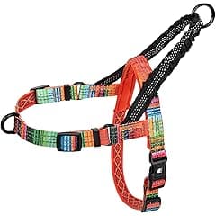 Leashboss No Pull Dog Harness, Reflective, Extra Large