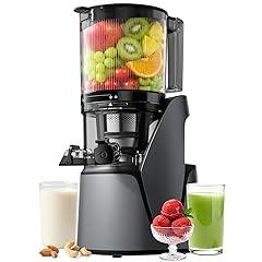 EanOruus 3-in-1 Cold Press Juicer