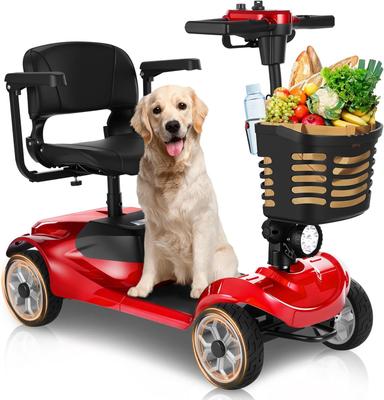 power scooter