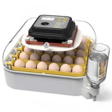 egg incubator