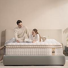 Queen Mattress, 12 Inch Memory Foam Hybrid