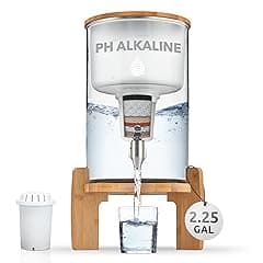 Invigorated Water pH Recharge Alkaline Water Filter Dispenser