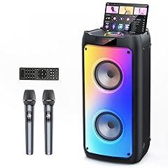 HWWR Karaoke Machine with Wireless Microphones
