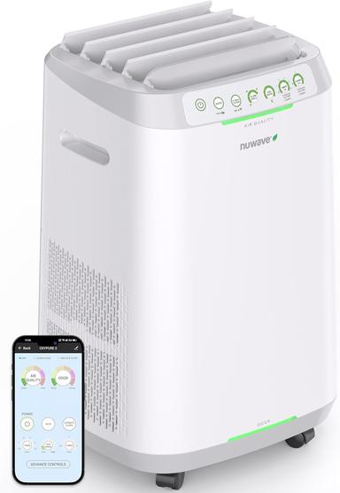 air ionizer