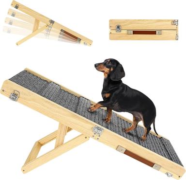 dog ramp