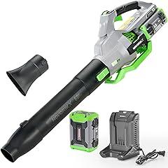 NovorikX Cordless Leaf Blower 60V