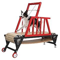 DEYGIA 64" Dog Treadmill with Handbrake