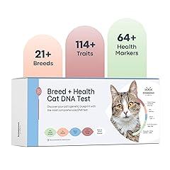 Basepaws Cat DNA Test Kit - Breed, Health, Dental Analysis