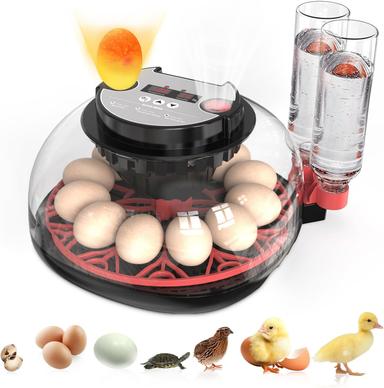 incubator