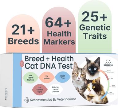 Pet DNA Tests
