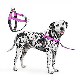 Freedom No Pull Dog Harness, Large, Purple