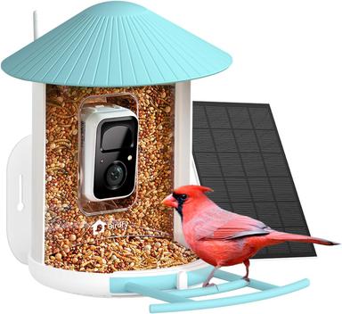 bluebird feeder