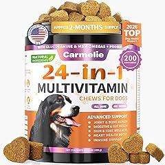 Carmelie 24-in-1 Dog Chews