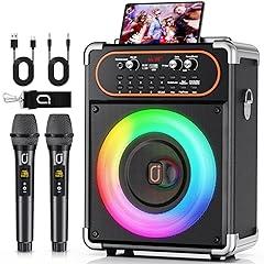 HWWR Bluetooth Karaoke Machine with Microphones