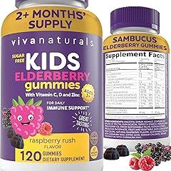 Viva Naturals Sambucus Elderberry Gummies for Kids