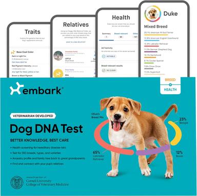dog dna test