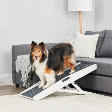 bed ramp for dogs