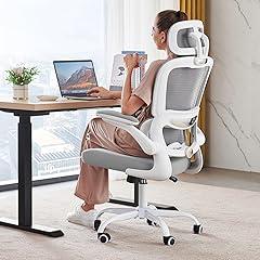 TRALT Ergonomic Mesh Office Chair