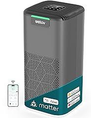 WELOV P200 Pro Smart Air Purifier