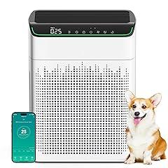 Morento Air Purifier with HEPA Filters
