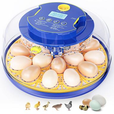 incubator