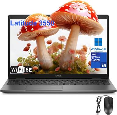business laptop