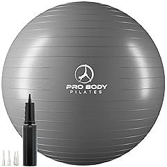 ProBody Pilates Silver Exercise Ball 65 cm