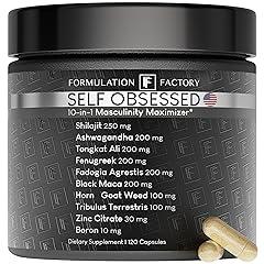 Self Obsessed: 10-in-1 Masculinity Maximizer for Men