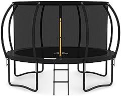 Jumpzylla Trampoline with Enclosure and Ladder