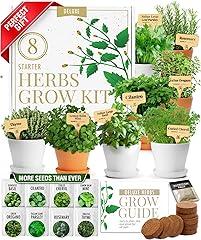 Home Grown Deluxe Herb Garden Kit