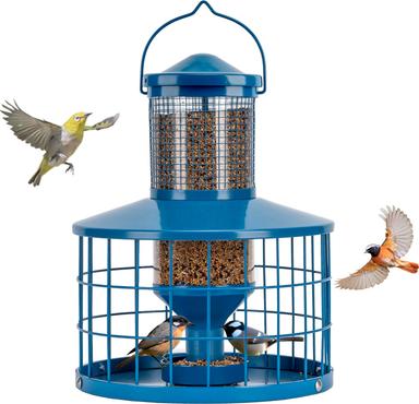 bluebird feeder