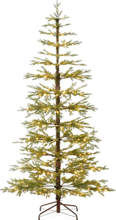 noble fir christmas tree