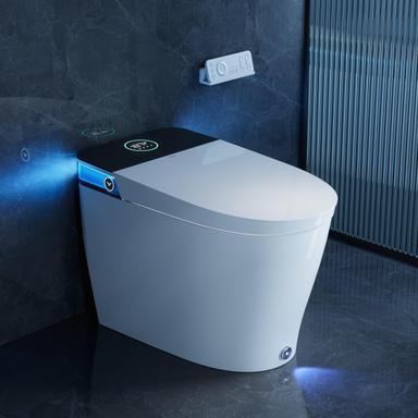 smart toilet